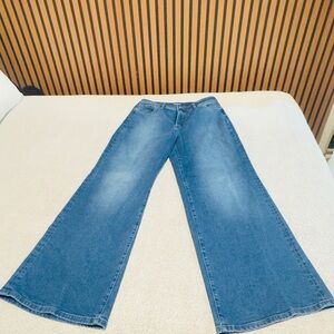 Stylish Blue Flare Women's Jeans